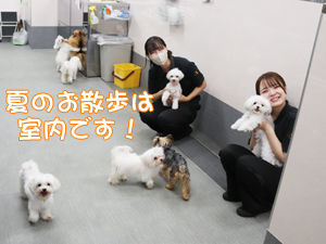 夏のＷａｎ活♪